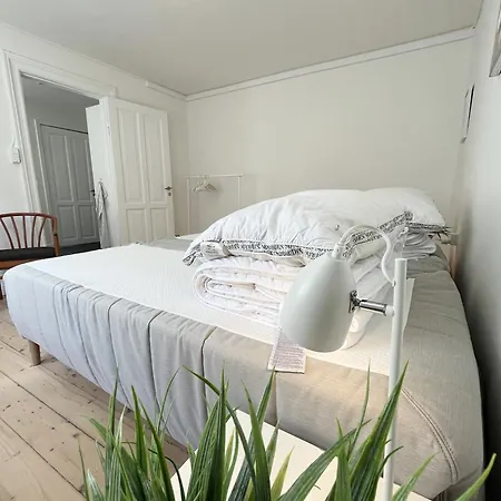 Luxurious 3 Bedroom Near Jomfru Ane Gade 아파트